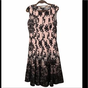 Danny&Nicole dresses